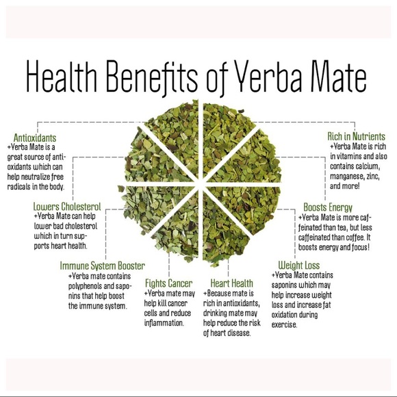 4lbs • organic yerba maté tea - Picture 4 of 8